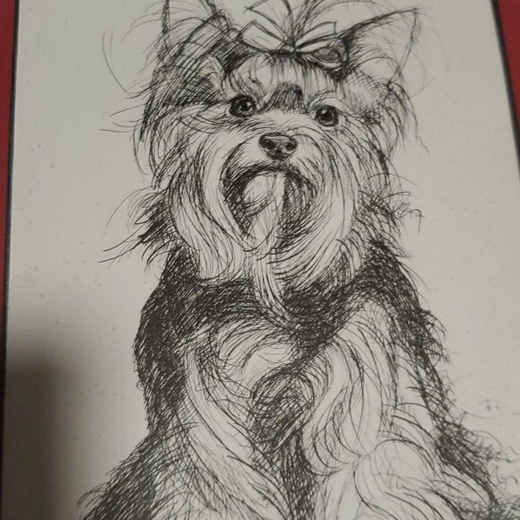 Vintage 1985 Yorkshire Terrier /  Yorkie Sketch G. Marlo Allen Print - Picture 4 of 6